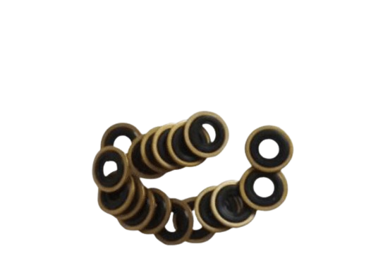 Oxygen Reg - Bodok Seal