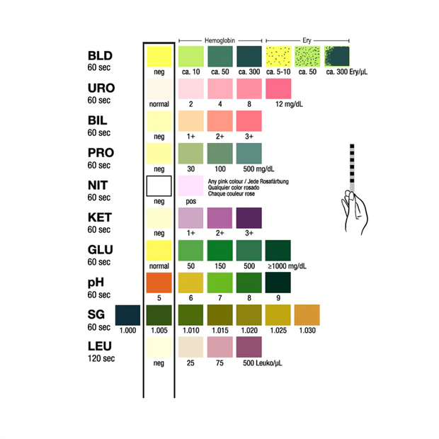 10P Urinalysis Test - 10-in-1 Parameter Urine Test