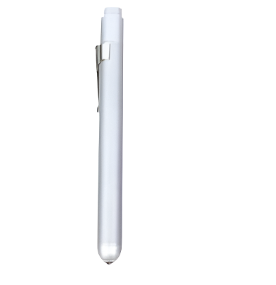 Pupil torch budget